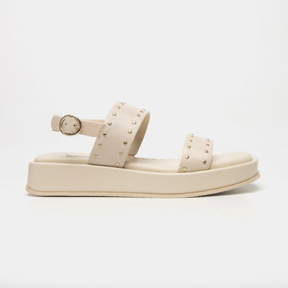 PLATAFORMA 303101 LATTE