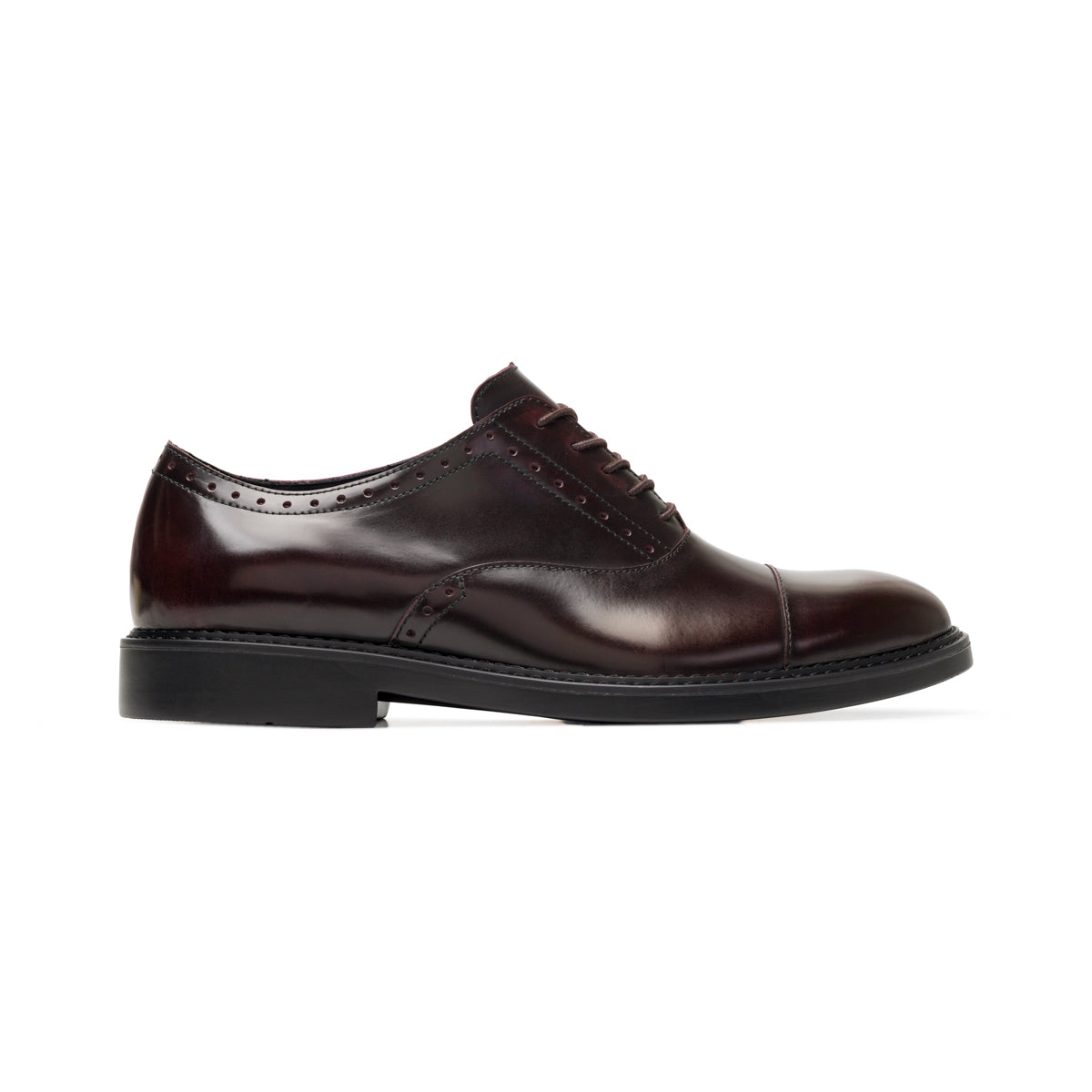 OXFORD QUIRELLI 707205 VINO